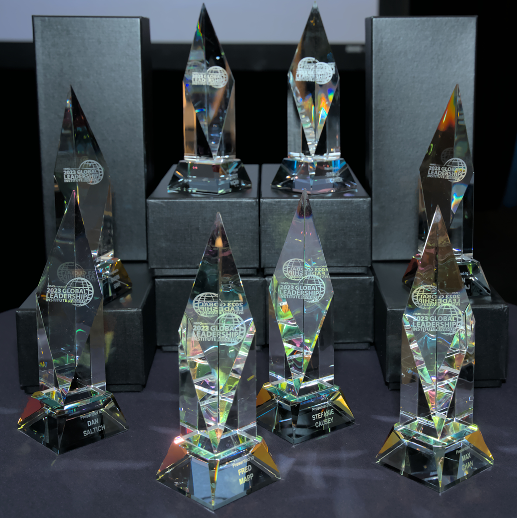 HMG Strategy's Global Leadership Institute Awards