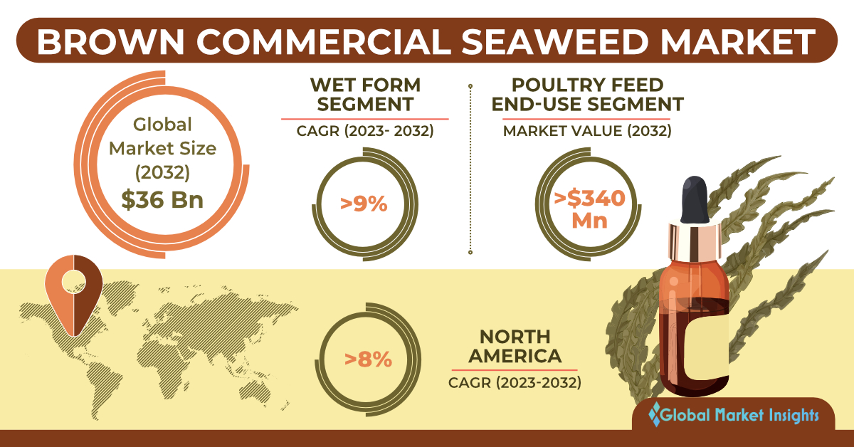 Carrageenan Market Size Report, Industry Analysis 2032