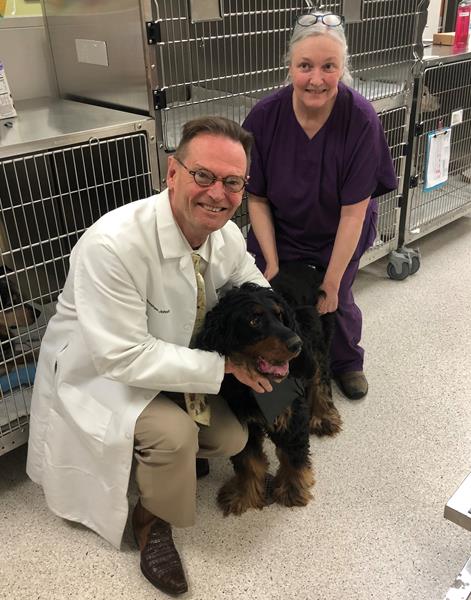 Stephen Johnston, scientist and professor at the Biodesign Institute at Arizona State University, has worked for 12 years on a vaccine to prevent canine cancer. Trilly is the the first dog to receive the vaccine in a trial that launched early May. (Photo: Arizona State University)
