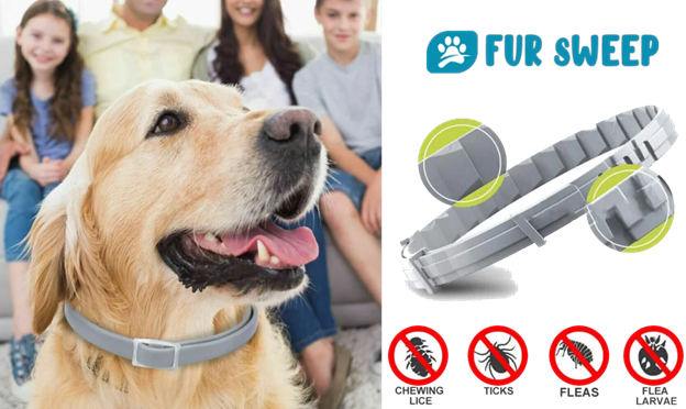 Fur Sweep Collar
