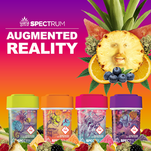 Augmented Reality Experience on Product Packaging