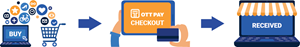 OTT Pay Checkout Process
