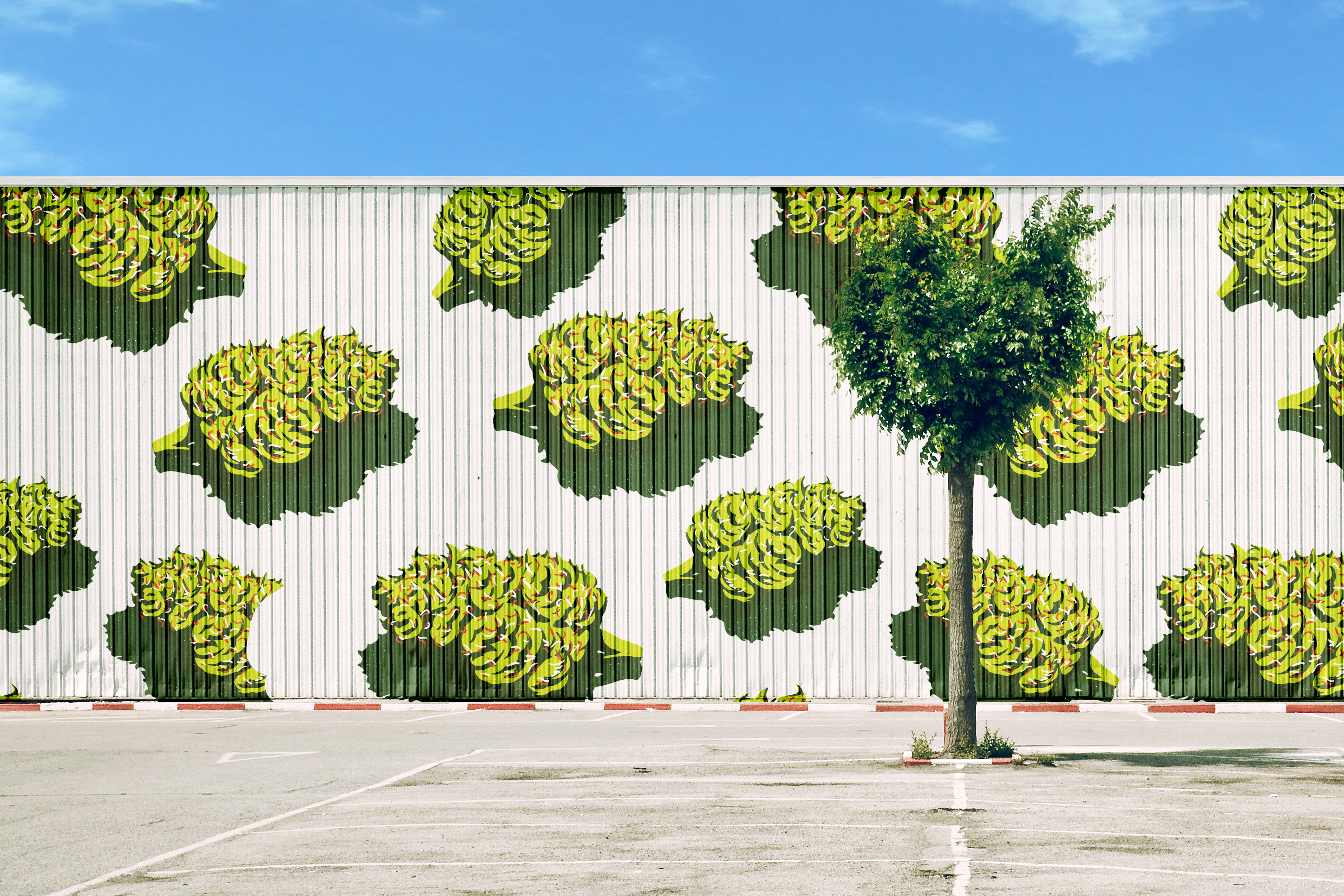 Wall with bud illustrations