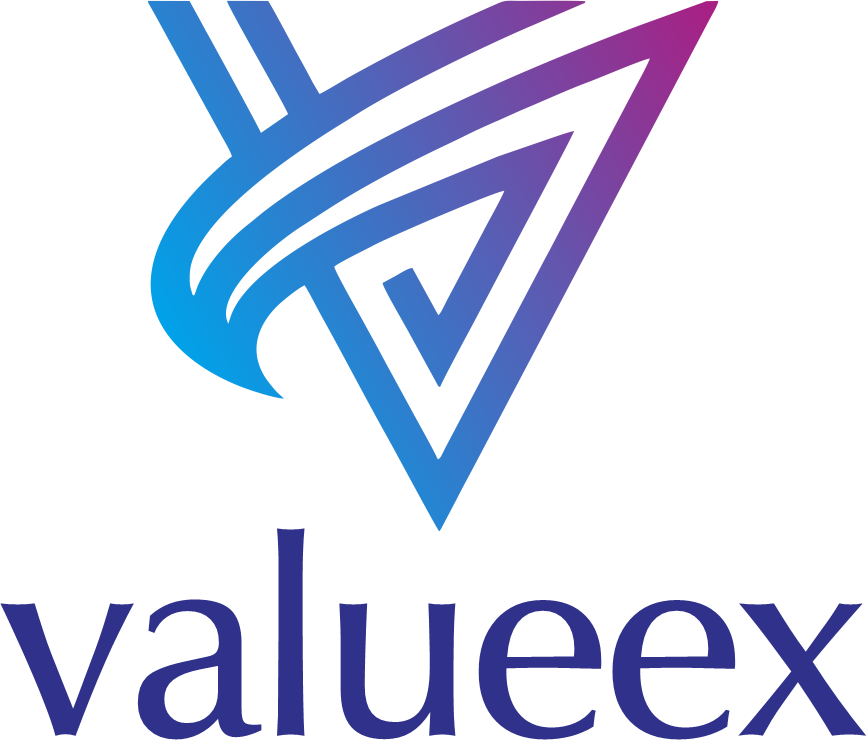 Valueex Logo.png