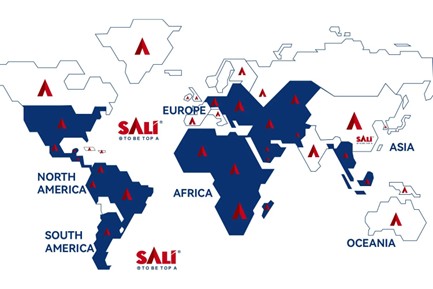 SALITools Global Strategic Layout