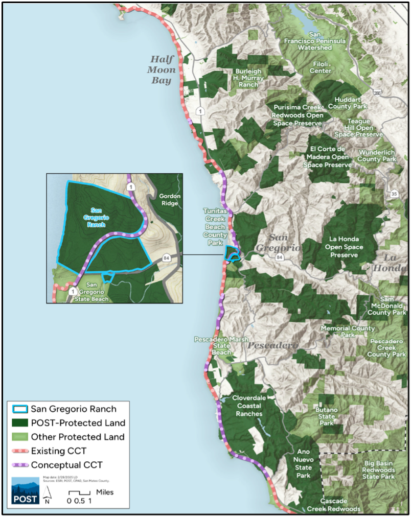 San Gregorio State Beach