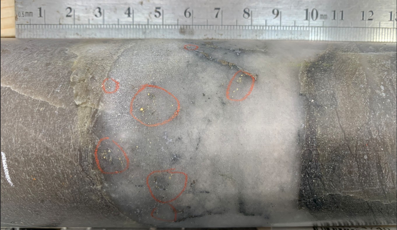 FIGURE 1. Multiple instances of visible gold in hole RLG-26-210 associated with quartz veining. Drill core is HQ (63.5 mm) diameter. image