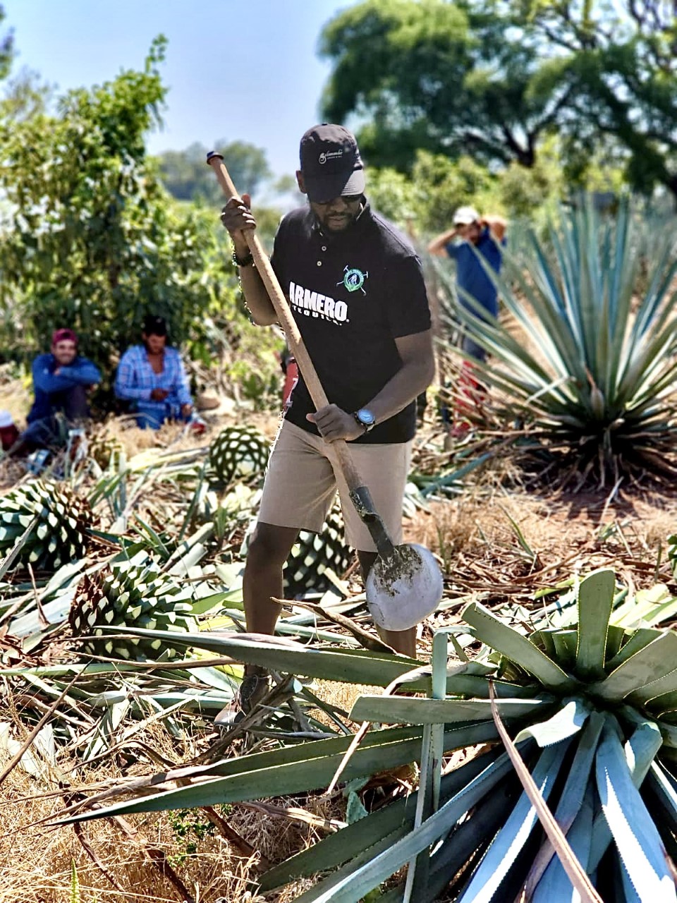 AGAVE