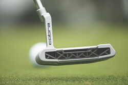 Cobra Putter