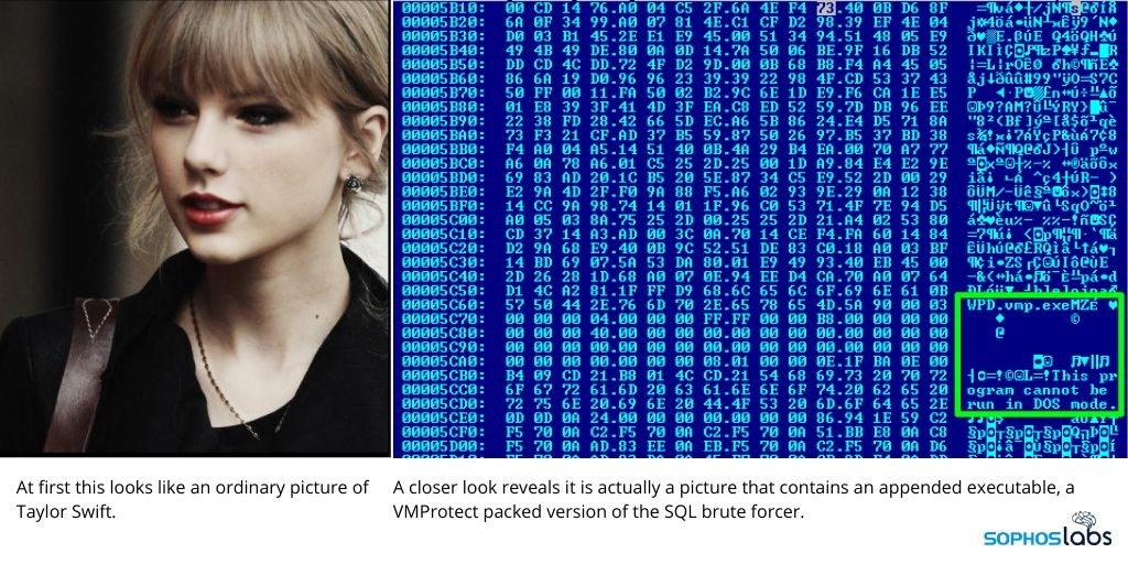 Image contains VMProtect packed version of the SQL brute forcer