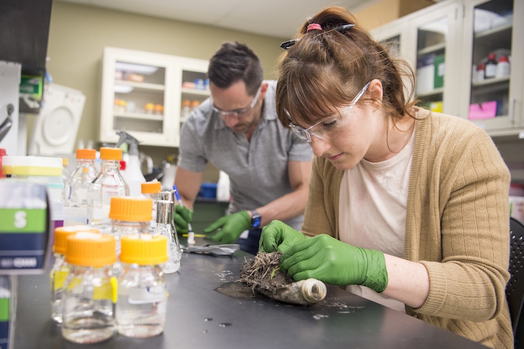NREL researchers Chris Johnson and Rita Clare take biological samples from an old PET soda bottle that Johnson found during a cleanup drive around NREL. They are looking to isolate any microbes that may be breaking down the PET. Photo by Dennis Schroeder, NREL