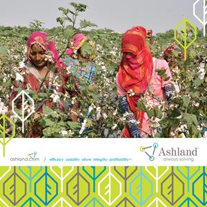 Responsibly solving for a better world, Ashland announces innovative supplier partnership that powers sustainable, profitable growth for local farmers and small villages in India