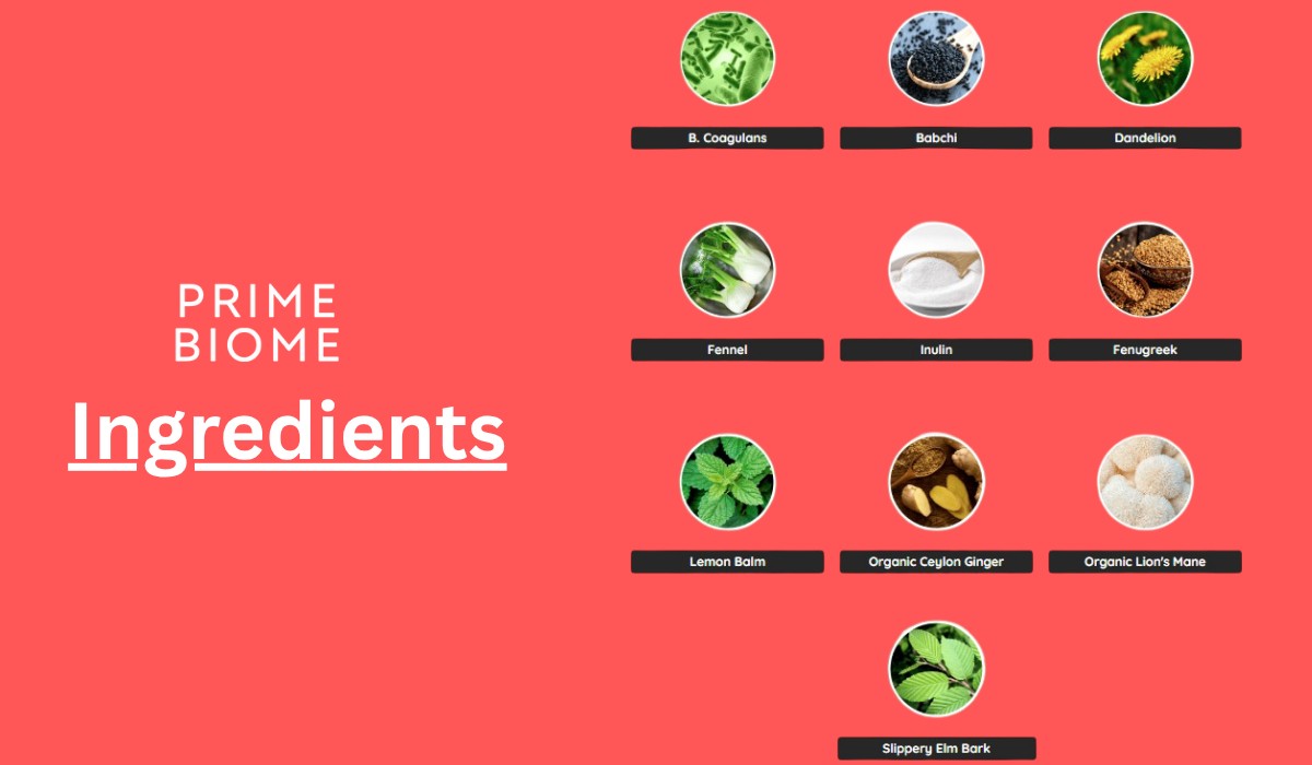 PrimeBiome Ingredients