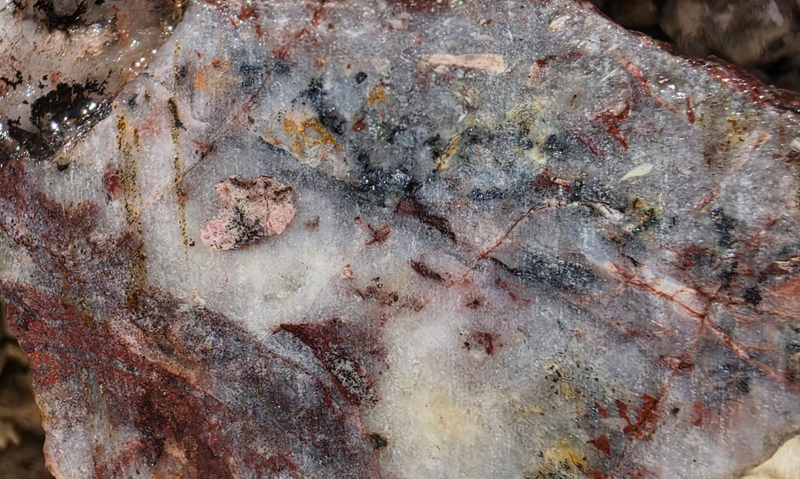 Figure 7 image