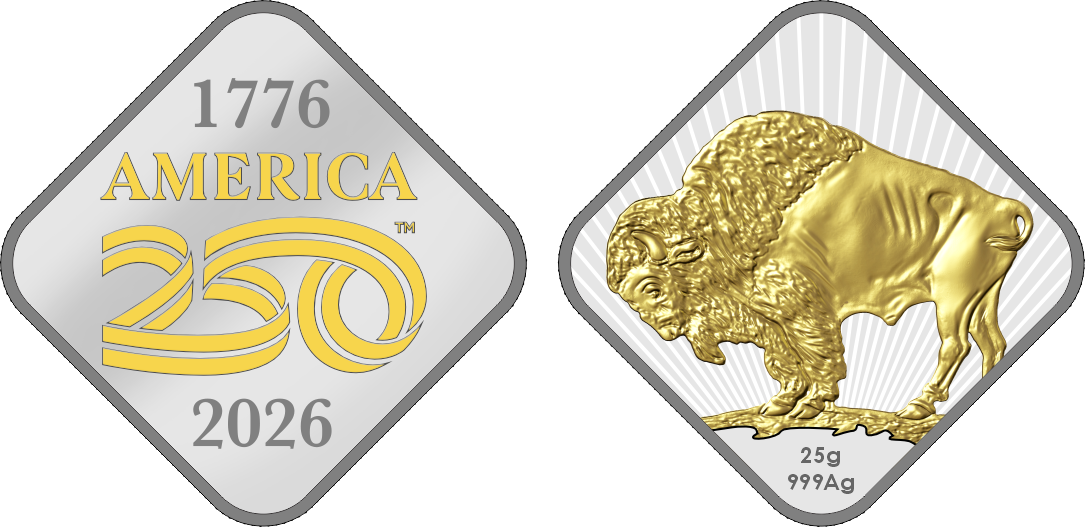 Bison Medallion