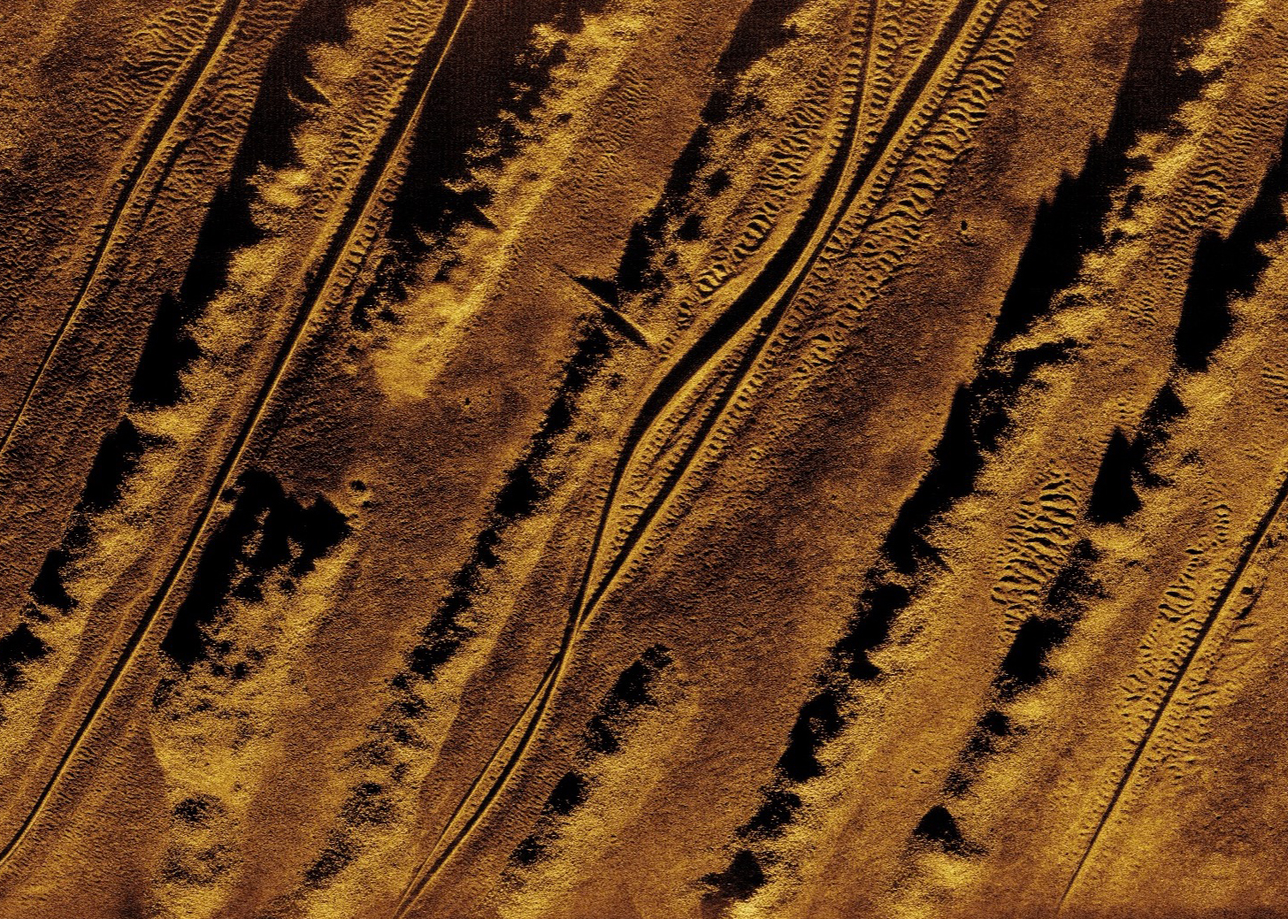Synthetic Aperture Sonar Image 