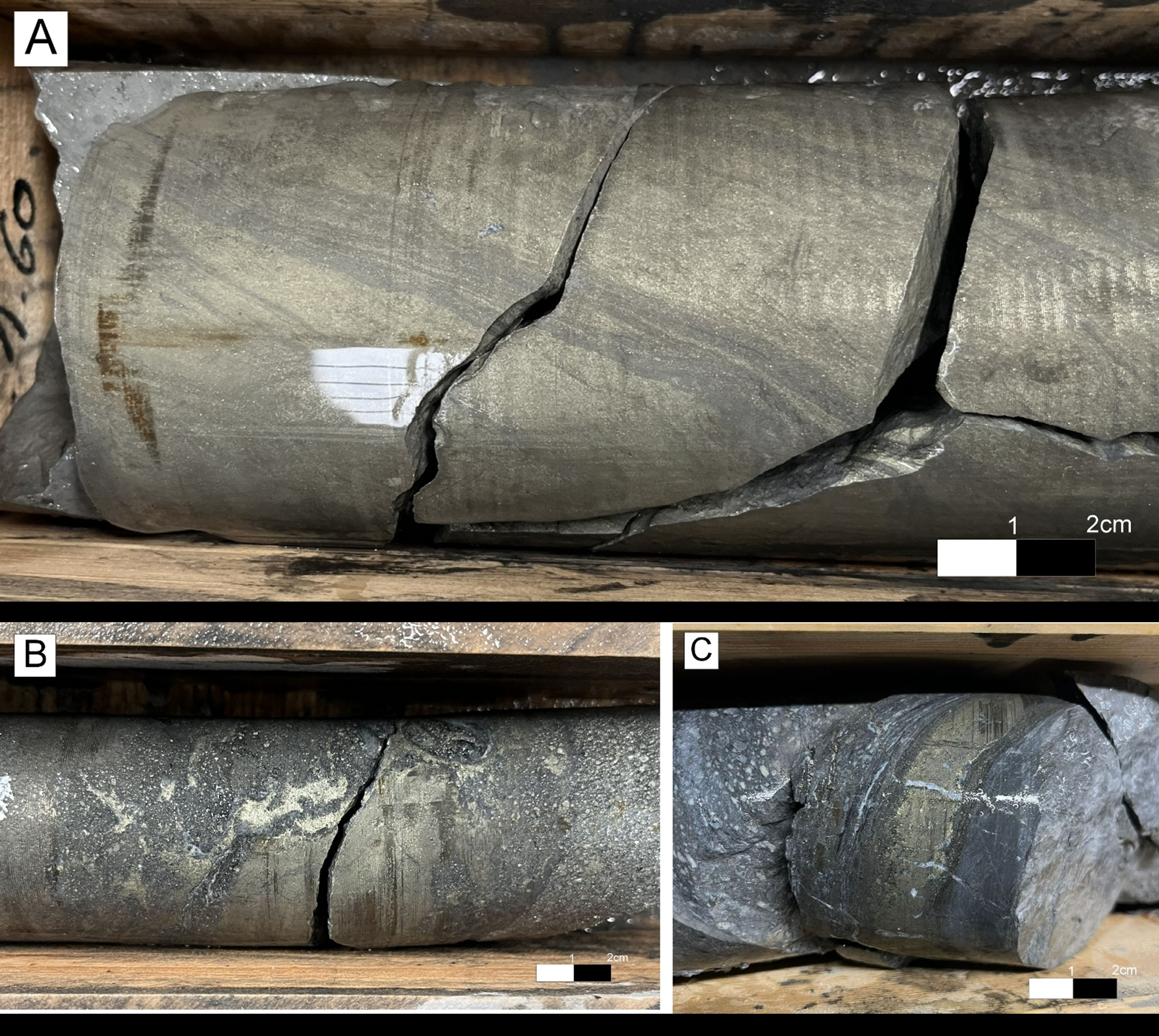 Figure 6 image