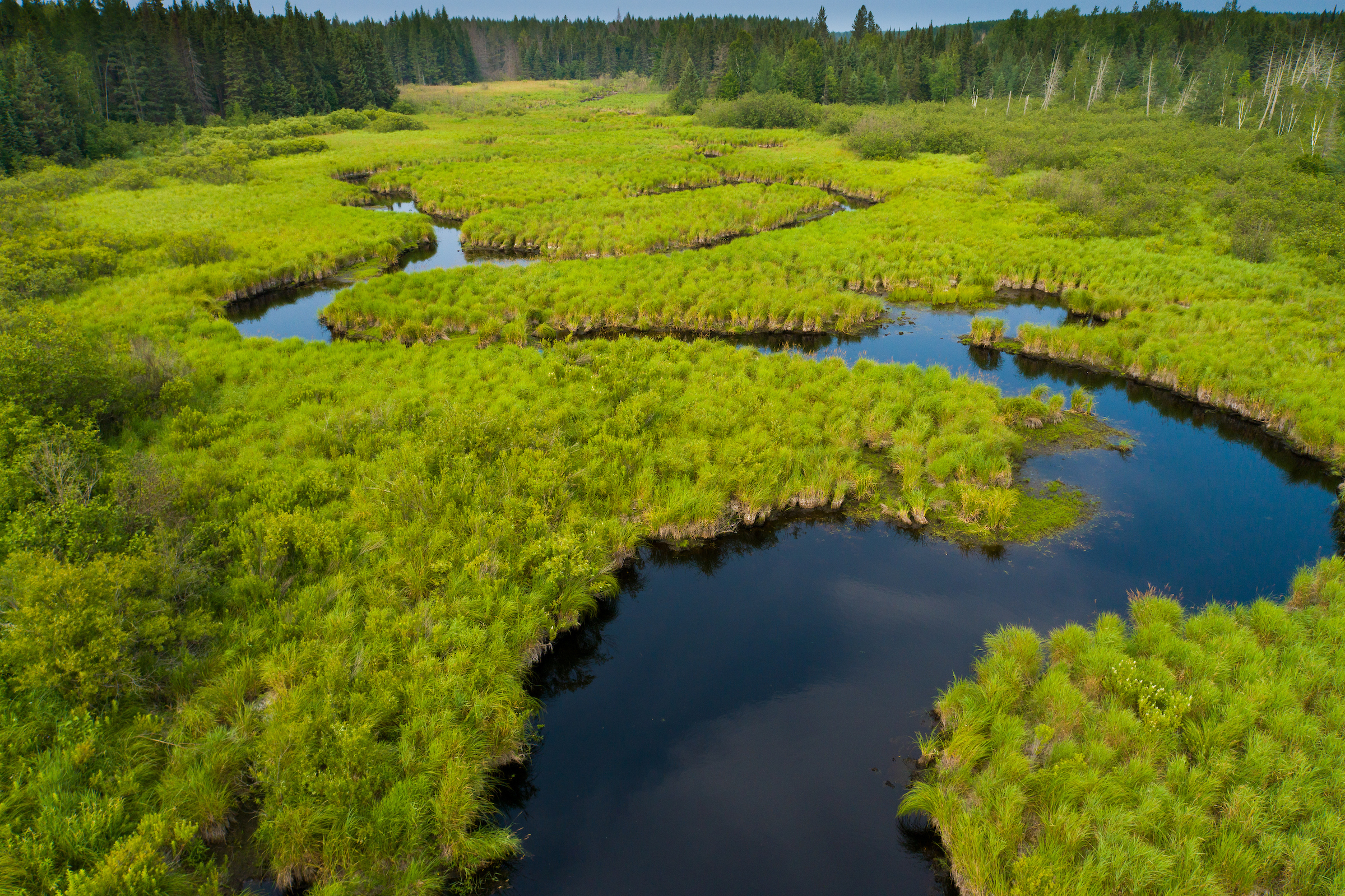 Pelican River Forest in Wisconsin