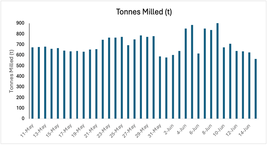 Figure 2. Average daily tonnes milled from May 11th to June 15th. 