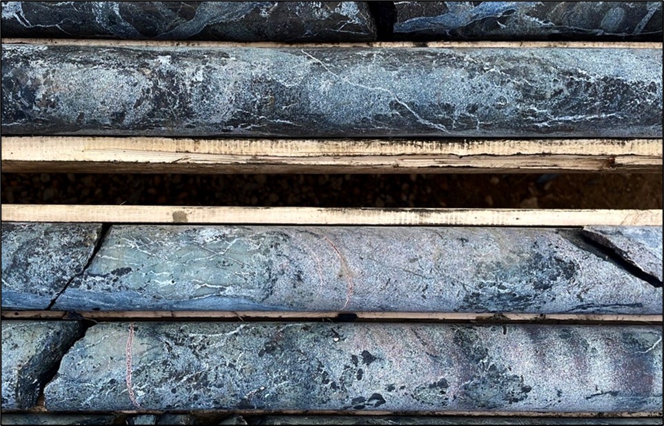 Photograph of drill core with 2.2% TREO and 19% P205 at 219m in drill hole HK22-013.  Rare earth element mineralization is amongst a myriad of carbonatite dykes (phoscorite and sovite) which themselves are cut by fluorite-rich carbonate veins. Protolith alkaline igneous rocks are completely replaced by a potassic alteration assemblage dominated by hydrothermal biotite.