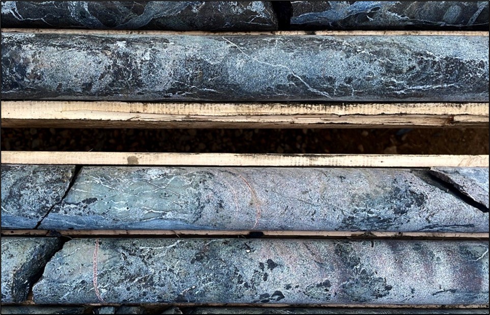 Photograph of drill core with <percent>2.2%</percent> TREO and <percent>19%</percent> P205 at 219m in drill hole HK22-013.  Rare earth element mineralization is amongst a myriad of carbonatite dykes (phoscorite and sovite) which themselves are cut by fluorite-rich carbonate veins. Protolith alkaline igneous rocks are completely replaced by a potassic alteration assemblage dominated by hydrothermal biotite.