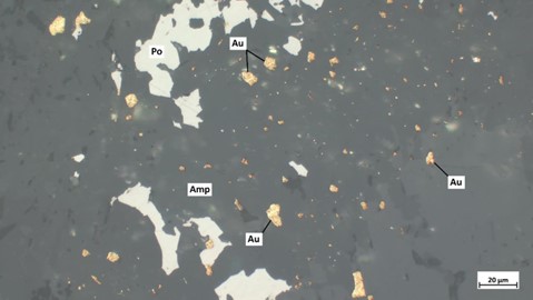 Plusieurs grains d’or natif (Au) inclus dans un agrégat secondaire d’amphibole (Amp) et de pyrrhotite (Po)