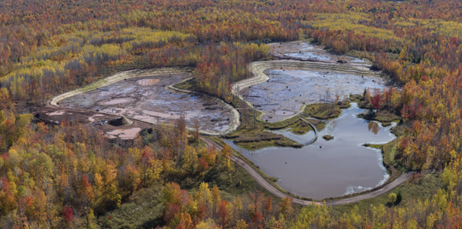 Newly created wetland designed for native biodiversity to thrive.