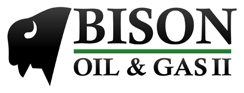 Bison II_white back_JPG