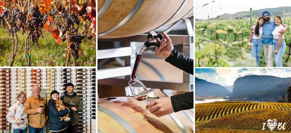 "Fall for BC" urges the public to choose BC wine this season