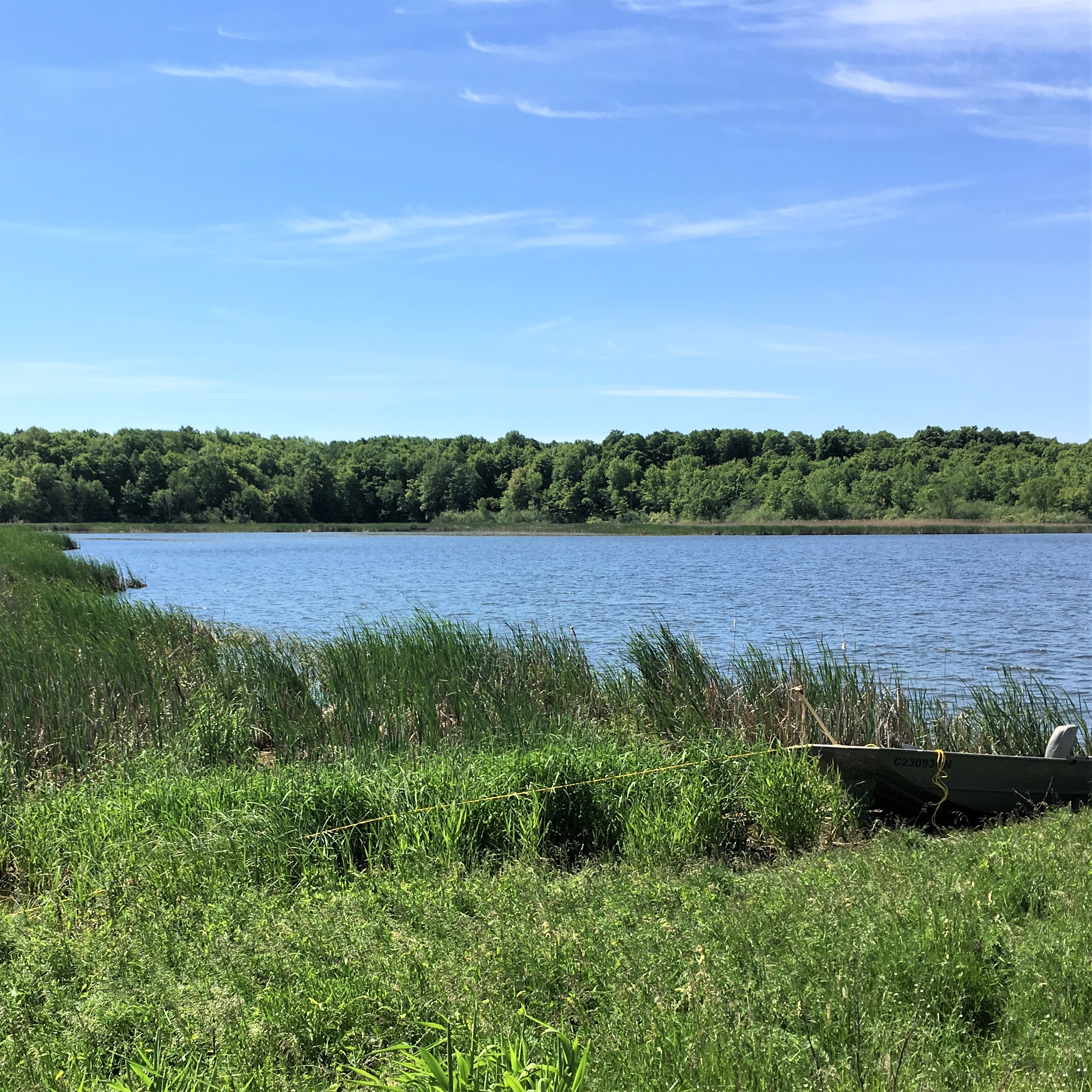 The Howe Island acquisition is one of 21 properties secured by DUC in southern Ontario, accounting for almost 7,000 acres (2,833 hectares) of habitat in the drainage area for the Great Lakes watershed.