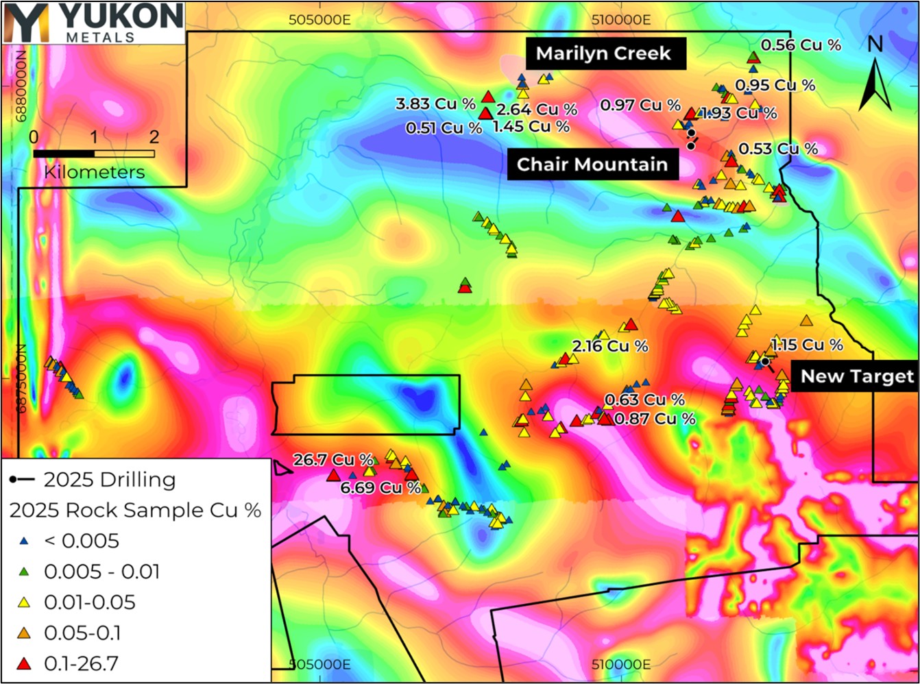 Figure 4 image