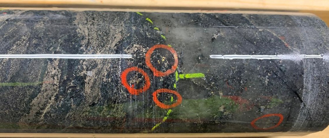 FIGURE 1. Multiple instances of visible gold in hole WRL-26-047 associated with quartz veining and pyrite + pyrrhotite. Drill core is NQ (47.6 mm) diameter. image