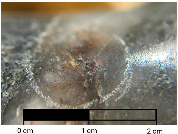 Visible gold specs in hole Q25-24 with approximate diameter of 1mm. 