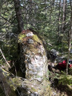 Photos of Knobby Vein outcrop.