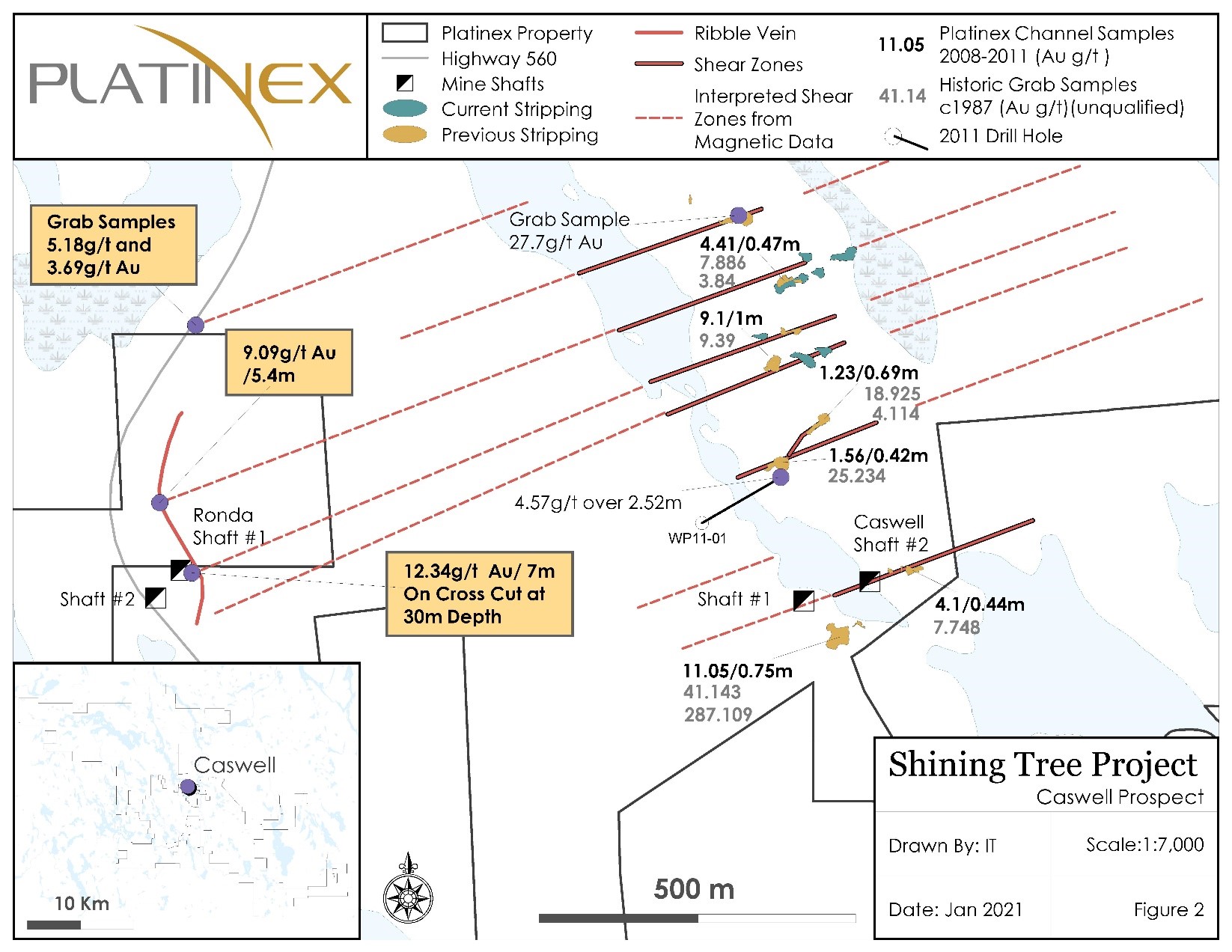 Shining Tree Project