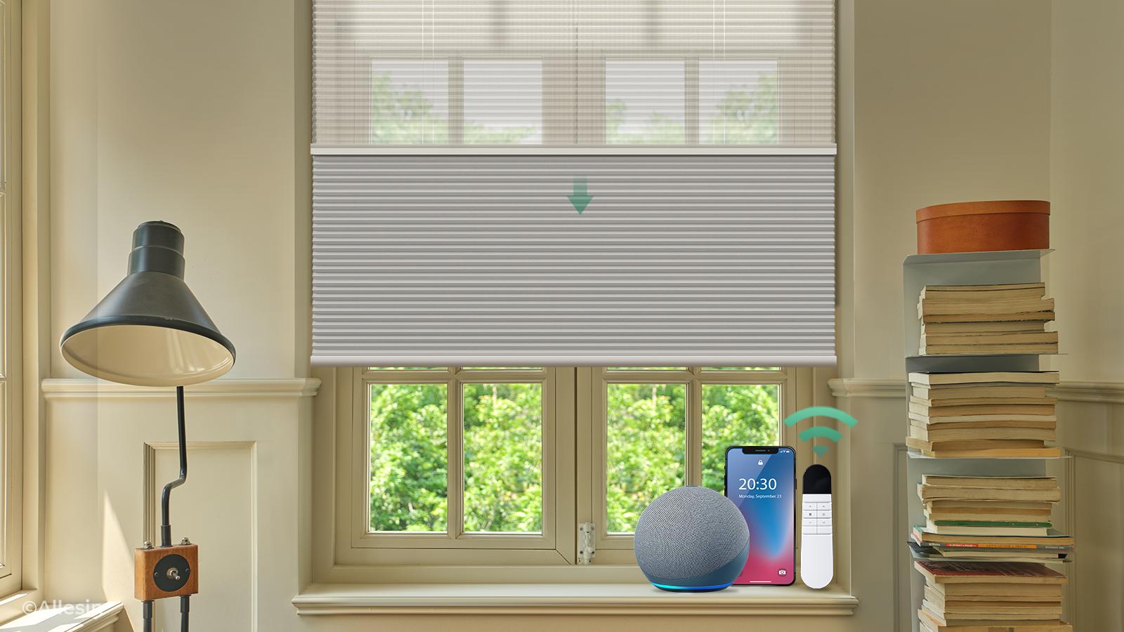 Allesin smart shades in use across multiple rooms of a home