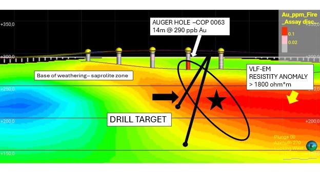Figure 5 image