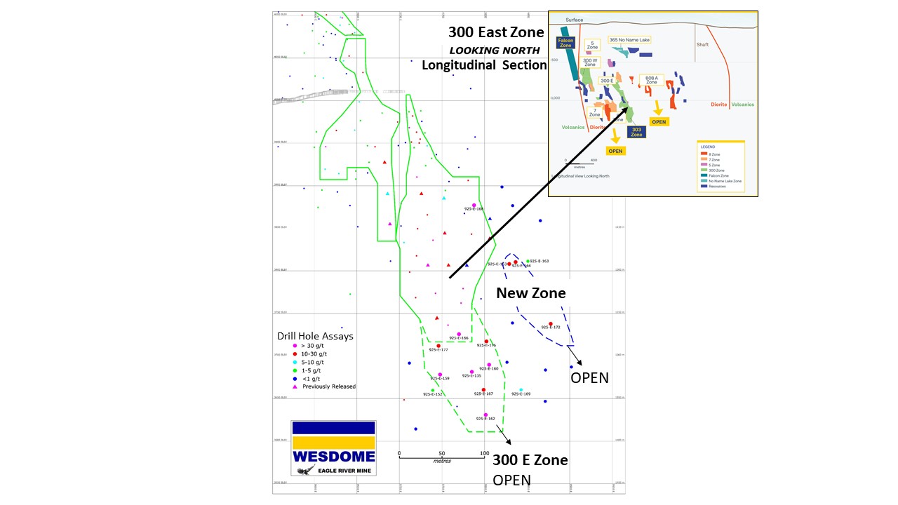 dec8Figure 1 - 300 East Zone Longitudinal Section