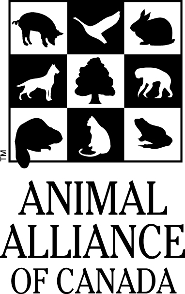 Remembrance Day: Animals Victims of War - Animal Alliance of Canada