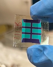 Bifacial Perovskite Solar Cell