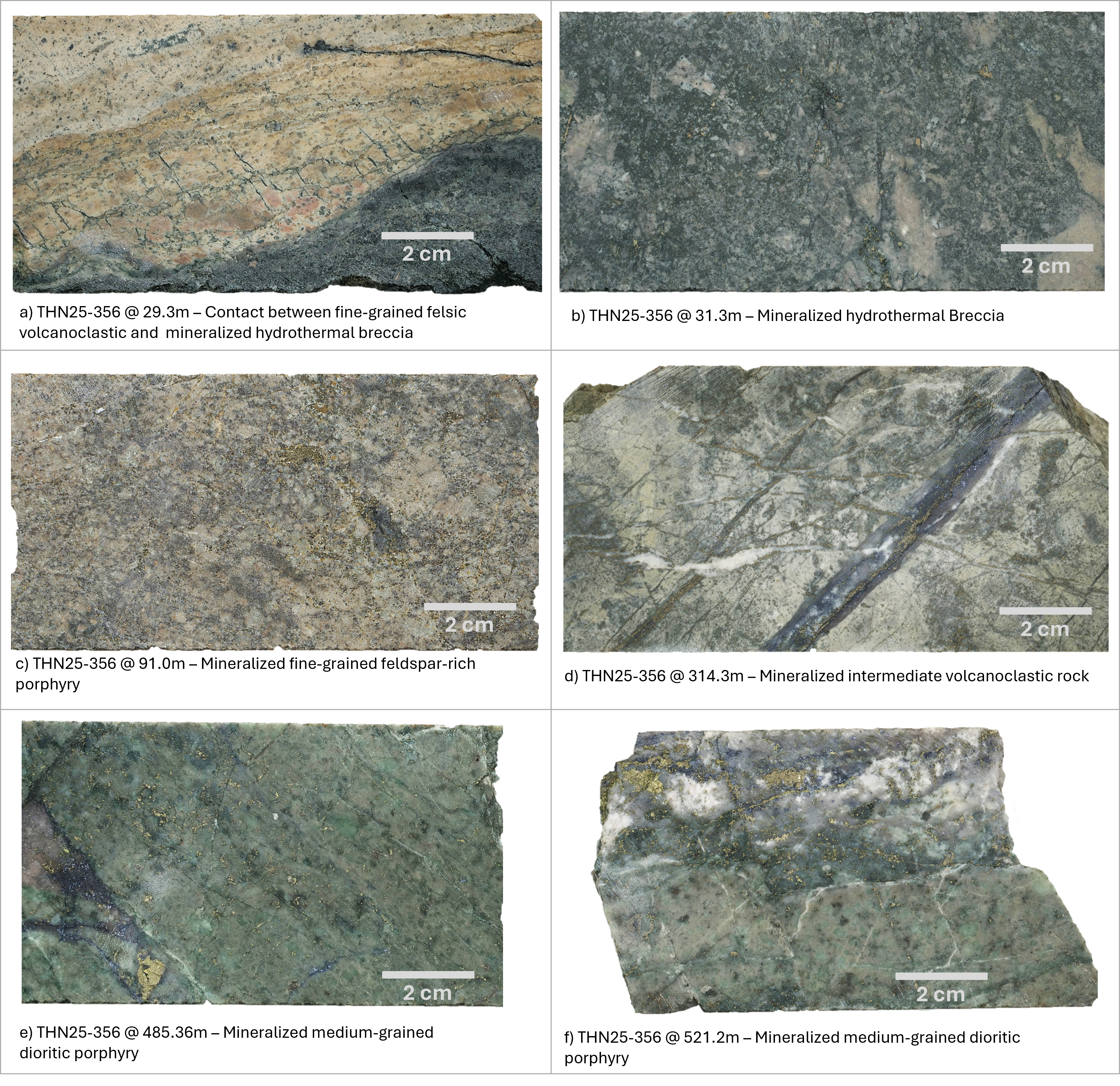 Figure 3 image