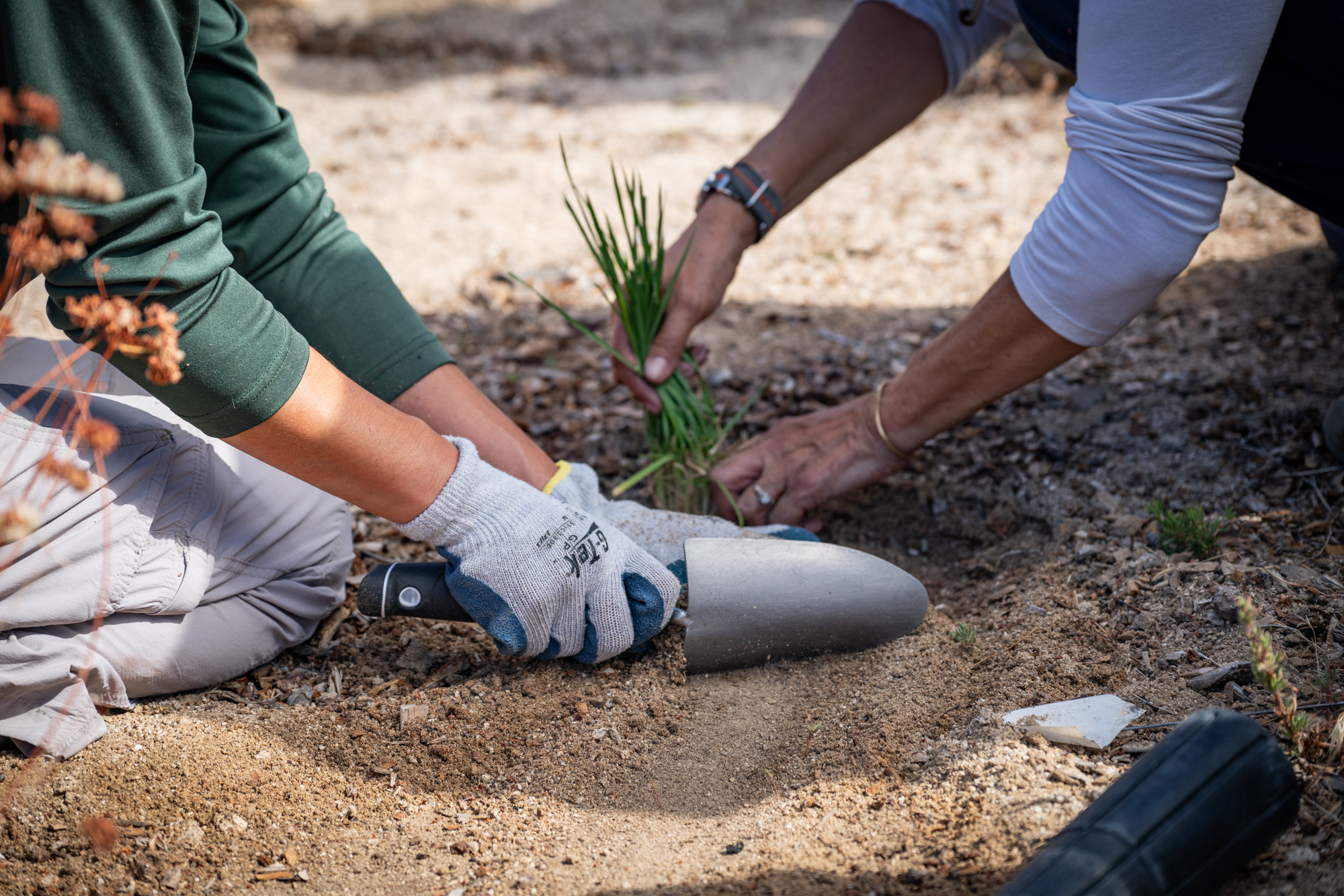 Yamaha OAI Volunteers