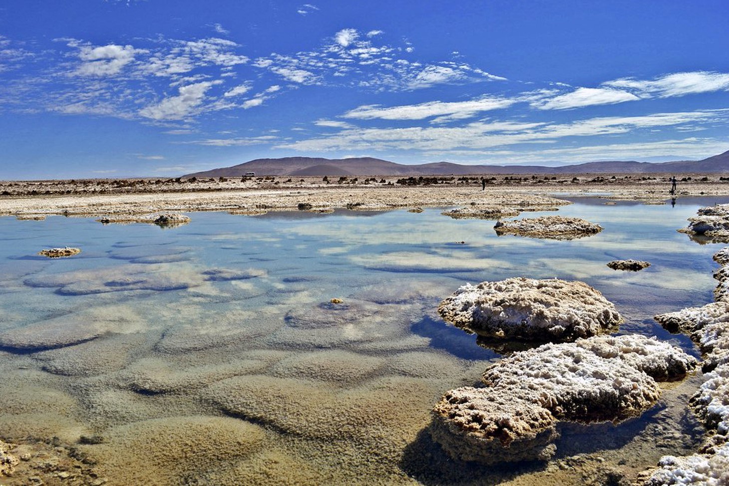 Llamara Basin