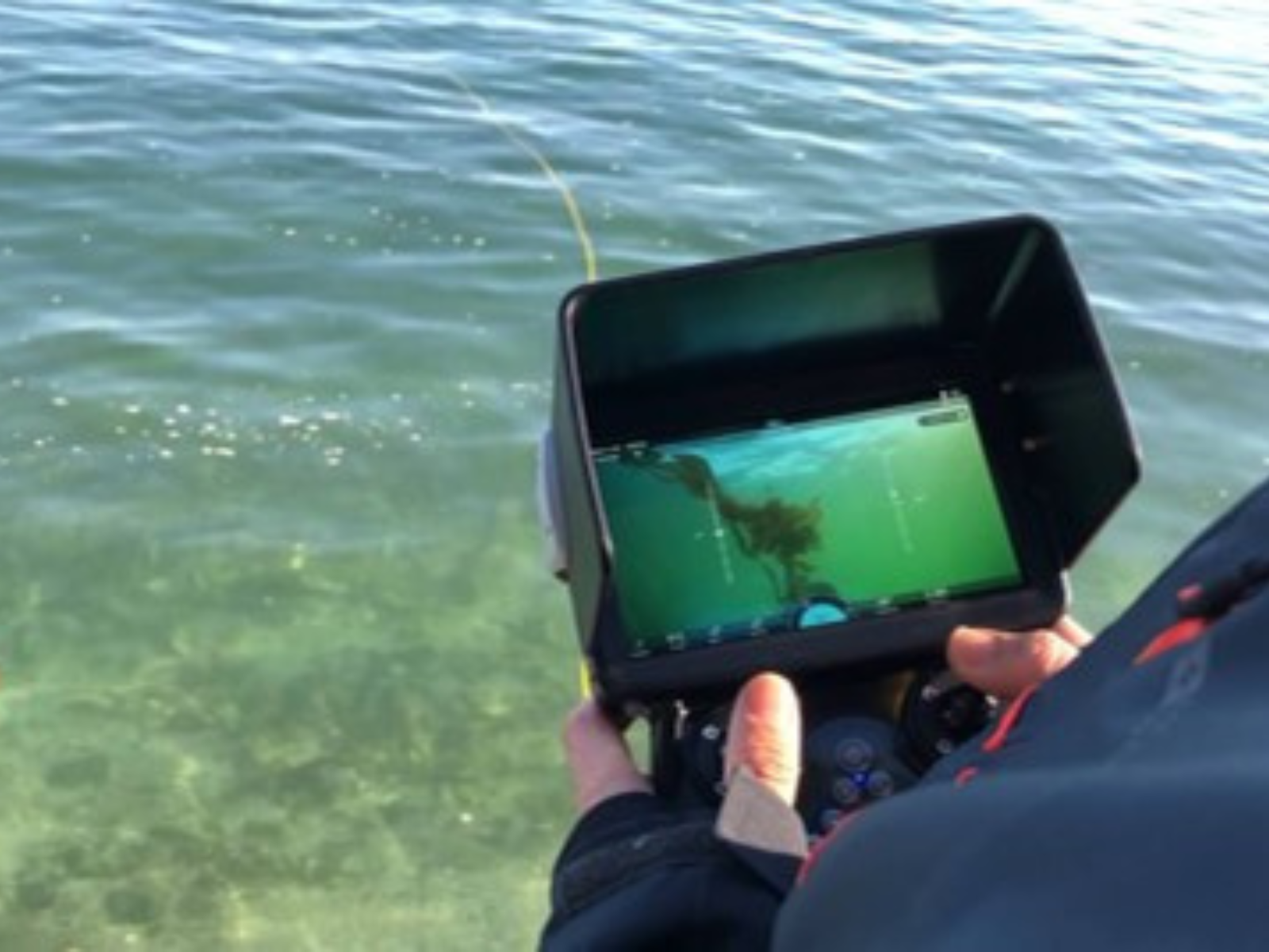 Ocean Wise researchers monitoring kelp restoration with a Remote Operated Vehicle (ROV).