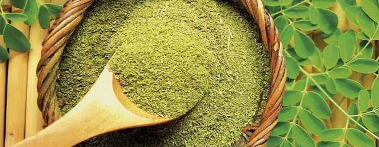 Best Moringa Supplements Review