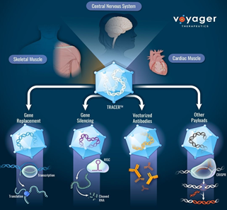 TRACER Capsid Discovery Platform