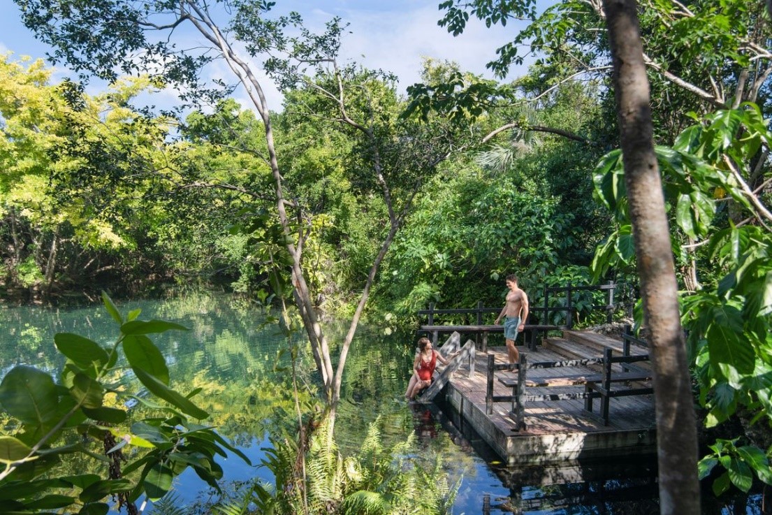 Cenote in Indigenous Eyes Ecological Park