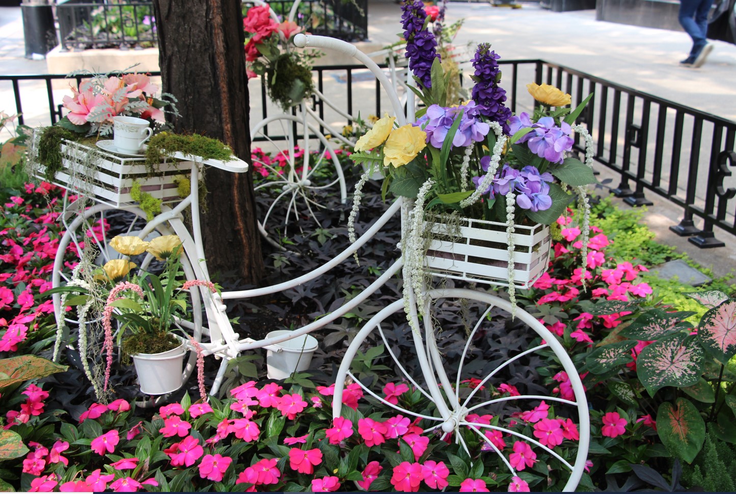 The Magnificent Mile Beautification Awards First Place