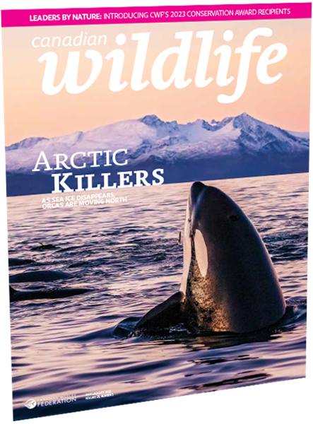 cw-canadian-wildlife-jun-jul-2023-current-issue-magazine-cover