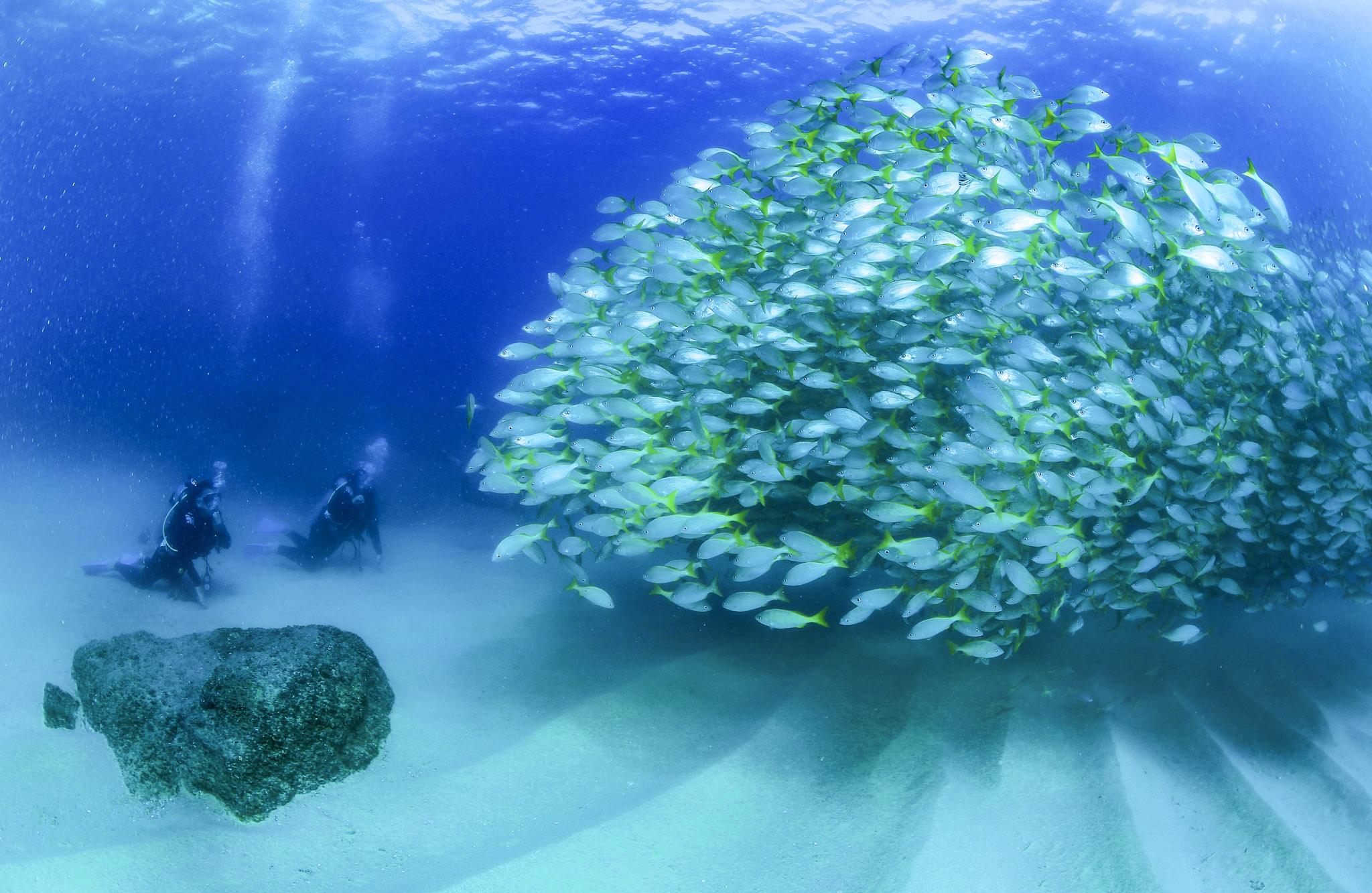 Exploring the seas of Los Cabos, Mexico